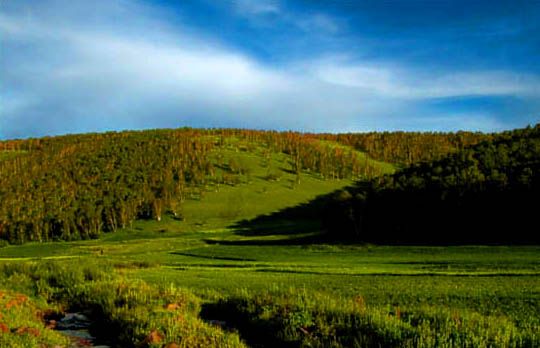 樺木溝景區(qū)