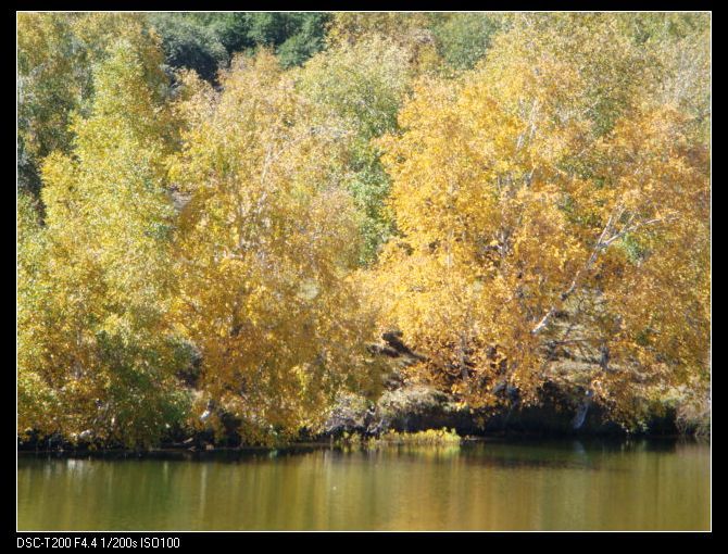 木蘭圍場(chǎng)